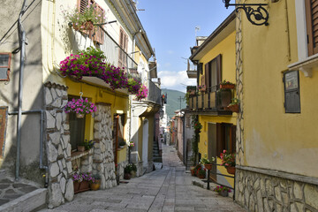 Fototapeta na wymiar A narrow street between old houses with doors and windows decorated with plants and flowers in San Gregorio Matese, a mountain village in the province of Caserta.