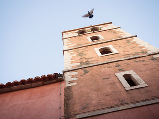 Pidgeon flying off the facade of a church at Rab Croatia