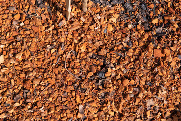 Coconut husks in pots are used as food for plants and increase drainage to the plants.