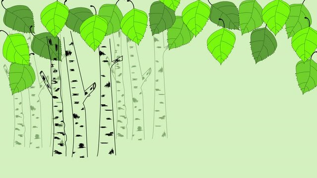Birch trees, birch wood illustration animation. Nature green background. Copy space.