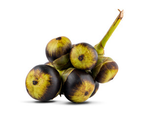 Asian Palmyra palm, fruit on white background.clipping path