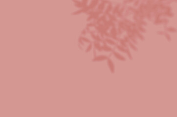 Summer background of shadows branch leaves on a wall for overlaying a photo or mockup