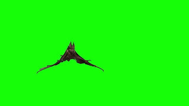  3d computer generated    wild  BAT flying  and looking in different directions