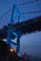 レインボーブリッジ夕景　ブルーライトアップ
芝浦南埠頭公園の眺め　ブルーモーメント