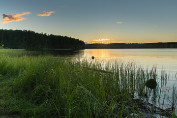 Sunset on a forest lake on a summer evening. The sun sets behind a distant forest