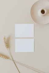 Blank paper sheet cards with mockup copy space and wheat / rye stalks on beige background. Minimal business brand template. Flat lay, top view.