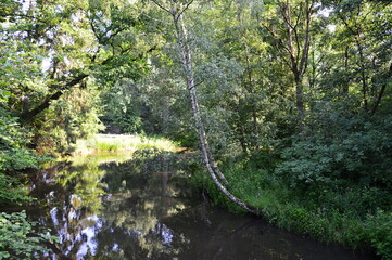 Boehme, Walsrode, Niedersachsen