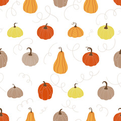 Seamless pattern. Various pumpkins in doodle style on a white background.