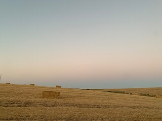Fototapeta premium Blue orange sky over field 