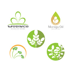 Set Moringa leaf Logo Template