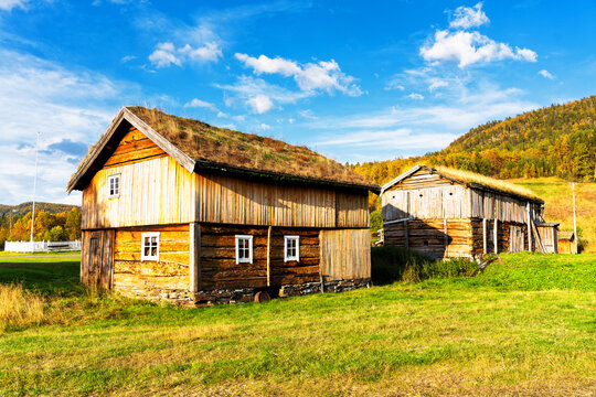 BarduBilder StockFotos & Videos. Adobe Stock