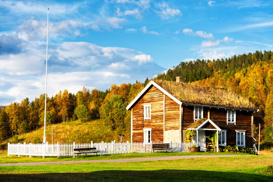 BarduBilder StockFotos & Videos. Adobe Stock