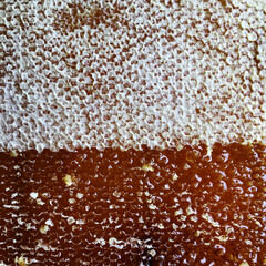 Drop of bee honey drip from hexagonal honeycombs filled with golden nectar.