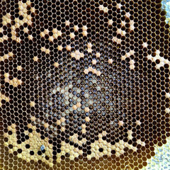 hexagon structure is honeycomb from bee hive filled with golden honey