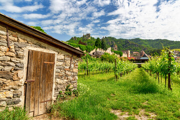 Fototapeta na wymiar Vineyards in Durnstein, Austria