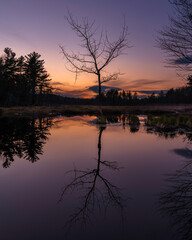 Reflections in the Dusk