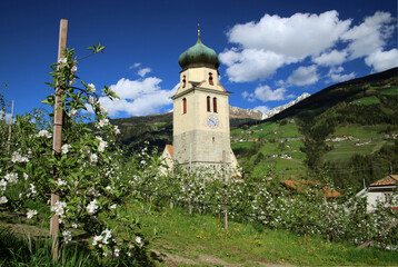 Riffian, Wallfahrtskirche, Apfelblüte,Frühling, Meraner Land, Burggrafenamt, Südtirol