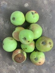 apples