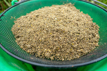 Fishing groundbait mixed through a sieve. Zanęta wędkarska rozrabiana przez sito. © SebbPL