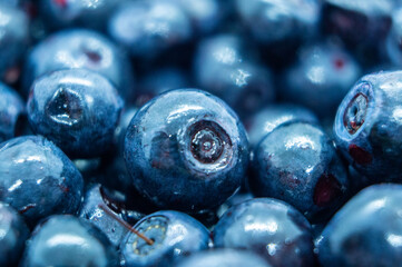 Dark blueberry berry. Swamp autumn food berry close-up macro photography