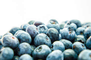 Large blue blueberry. Swamp autumn food berry close-up macro photography