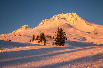 Mt Hood viewed from just above the timberline, with warm light just before sunset., Mt Hood National Forest.
