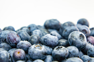 Large blue blueberry. Swamp autumn food berry close-up macro photography
