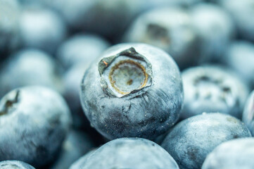 Large blue blueberry. Swamp autumn food berry close-up macro photography