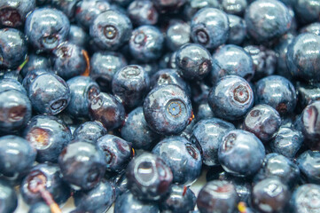 Dark blueberry berry. Swamp autumn food berry close-up macro photography