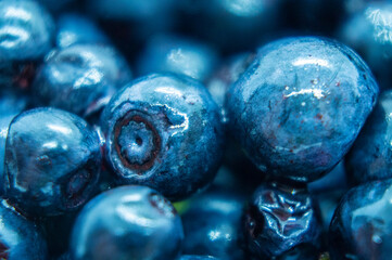 Dark blueberry berry. Swamp autumn food berry close-up macro photography