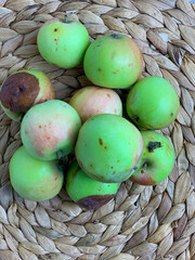 basket of apples, ugly 