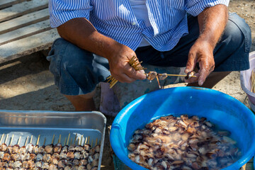 close up hand holding mussel, selective focus