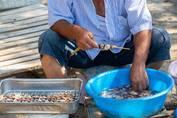 close up hand holding mussel, selective focus