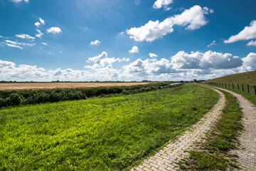 Fototapeta na wymiar Alluvial land of the dollar in front of the dike on the North Sea in summer with a blue sky