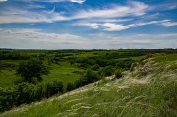 Fototapeta na wymiar steppe, field, summer, grass, green, sky, clouds, sunny, day, horizon, ukraine, landscape