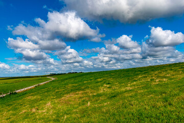 Obraz premium Alluvial land of the dollar in front of the dike on the North Sea in summer with a blue sky