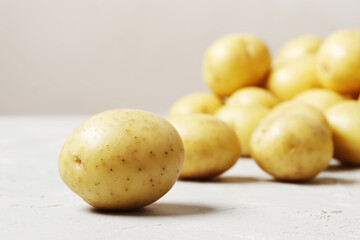young potato on a gray background with place for text