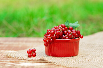 Red currant berries in a cocotte on a background of greenery, wooden with burlap. Natural vitamins concept.