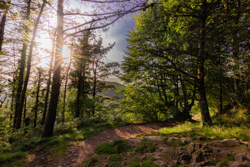 Trecking por montes de Andoain del Pais Vasco al atardecer