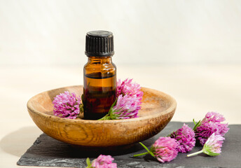 Selective focus on Trifolium pratense the red clover tincture bottle with picked blossoms for decoration studio shot.