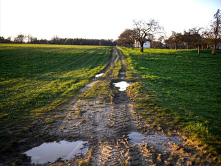 Traktorweg im Feld 