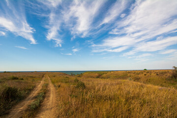 Fototapeta na wymiar field and sky