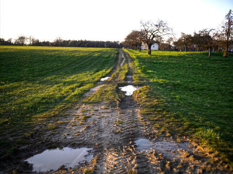 Traktorweg im Feld 