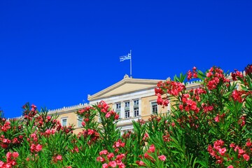 Fototapeta na wymiar Greece, Athens, June 16 2020 - Partial view of the Greek Parliament.