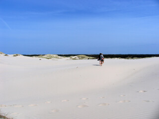 Wanderduene (R&aring;bjerg Mile) im Norden D&auml;nemarks