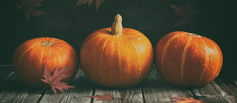 Fresh pumpkins in a row on a wooden dark vintage table, banner. Rustic style. Thanksgiving and halloween holiday concept. Toned image. Selective focus.