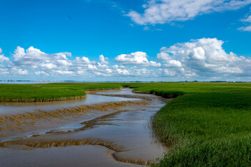 Fototapeta na wymiar View of the Lower Saxony Wadden Sea at low tide in summer with blue sky and beautiful clouds