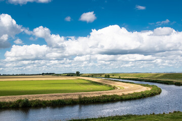 Obraz premium Pasture and wheat field behind the dike on the North Sea in summer with a blue sky
