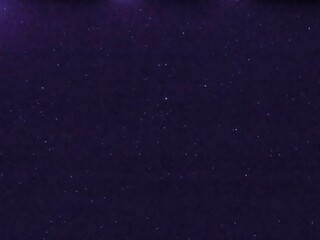 Flying dust particles on a black background. Stars in summer days 