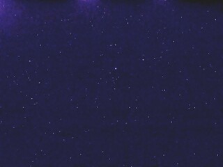 Flying dust particles on a black background. Stars in summer days 